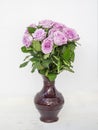 bouquet of pink roses in a vase on a white background Royalty Free Stock Photo