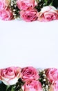 A bouquet of pink roses on a white background. A delicate festive floral arrangement. Royalty Free Stock Photo