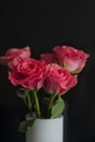 Bouquet of pink roses in a white vase on black background Royalty Free Stock Photo