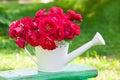 Bouquet of pink roses in white watering can