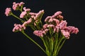 bouquet with pink statice flowers (limonium),