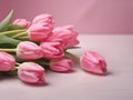 Bouquet of pink tulips on a pink background, with space for inscription, March 8, Mother\'s Day Royalty Free Stock Photo