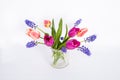 Bouquet of pink tulips and blue flowers isolated on white background Royalty Free Stock Photo