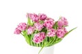 Bouquet of pink tulips in bucket. Fresh spring easter flower. White background , copy space. Isolated on white