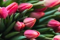 Bouquet of pink tulips close-up, a beautiful bouquet of tulips on the background of nature. Spring landscape. Floral background Royalty Free Stock Photo