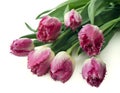 Bouquet of pink tulips, copy space. Spring fresh flowers, mockup for mothers day, valentine or wedding greeting card. Royalty Free Stock Photo