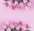 Bouquet of pink tulips flowers on pink background. Waiting for spring. Card for Mothers day, 8 March, Happy Easter. Greeting card Royalty Free Stock Photo