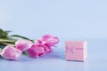 Bouquet of pink tulips with gift box on blue wooden background Royalty Free Stock Photo