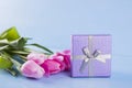 Bouquet of pink tulips with gift box on blue wooden background Royalty Free Stock Photo