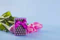 Bouquet of pink tulips with gift box on blue wooden background Royalty Free Stock Photo