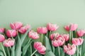 Bouquet of pink tulips on green background. Anniversary celebration concept. Copy space. Top vieww Royalty Free Stock Photo