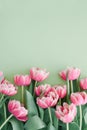 Bouquet of pink tulips on green background. Anniversary celebration concept. Copy space. Top view Royalty Free Stock Photo