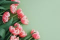 Bouquet of pink tulips on green background. Anniversary celebration concept. Copy space. Top view Royalty Free Stock Photo
