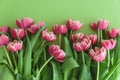 Bouquet of pink tulips on green background. Anniversary celebration concept. Copy space. Top Royalty Free Stock Photo