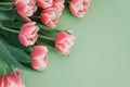 Bouquet of pink tulips on green background. Anniversary celebration concept. Copy space. Top Royalty Free Stock Photo