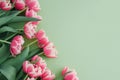 Bouquet of pink tulips on green background. Anniversary celebration concept. Copy space. Top Royalty Free Stock Photo