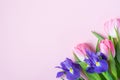 Bouquet of pink tulips and irises on pink background. Greeting card for mother\'s day Royalty Free Stock Photo