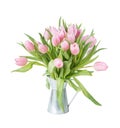 Bouquet of pink tulips isolated on white Royalty Free Stock Photo