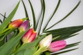 Bouquet of pink tulips on a light background. Holiday card Royalty Free Stock Photo