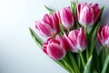 Bouquet of pink tulips on a light background. Holiday card. Royalty Free Stock Photo