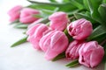 Bouquet of pink tulips on a light background. Holiday card. Royalty Free Stock Photo