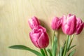 Bouquet of pink tulips on of light plywood