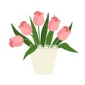 Bouquet of pink tulips with long leaves in an open pot. Isolated on white background Royalty Free Stock Photo