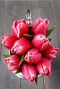 Bouquet of pink tulips in metal vase on wooden background Royalty Free Stock Photo