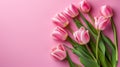 Bouquet of pink tulips on pastel pink background with space for text. Tulip flowers on pink background. Royalty Free Stock Photo