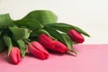 Bouquet of pink tulips on rose lettering paper, selective focus