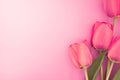 Bouquet of pink tulips with space for greeting message