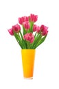 Bouquet of pink tulips in vase isolated on white Royalty Free Stock Photo
