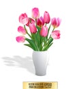 Bouquet of pink tulips in vase isolated on white background Royalty Free Stock Photo
