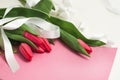 Bouquet of pink tulips with white decorative ribbon on rose lettering paper