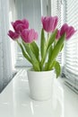 Bouquet pink tulips in white vase stock photo
