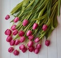 Bouquet of pink tulips on a white wooden background. Royalty Free Stock Photo