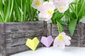 A bouquet of pink tulips in a wooden box and two paper hearts of yellow and lilac color on a white background Royalty Free Stock Photo