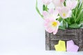 A bouquet of pink tulips in a wooden box and two paper hearts of yellow and lilac color on a white background Royalty Free Stock Photo