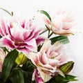 Bouquet of pink and white lilies isolated on white background. Royalty Free Stock Photo