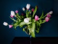 Bouquet of pink white and purple tulips in a vase on a dark green background, spring flowers in a vase, copy space Royalty Free Stock Photo