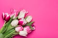 Bouquet of pink and white tulips