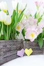 A bouquet of pink and white tulips in a wooden box and a paper hearts of yellow and lilac color on a white background Royalty Free Stock Photo