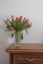 bouquet of pink and yellow tulips in vase closeup across white all on the wooden drawer. Interior detail. Hotel interior Royalty Free Stock Photo