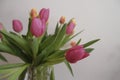 bouquet of pink and yellow tulips in vase closeup across white all on the wooden drawer. Interior detail. Hotel interior Royalty Free Stock Photo