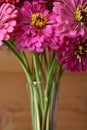 A bouquet of pink zinnia flowers in a vase, on wood