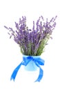 Bouquet of plucket lavender Royalty Free Stock Photo