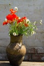 Bouquet of poppies and daisies in clay jug on wooden table against old brick wall Royalty Free Stock Photo