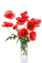 Bouquet of poppies in glass vase Royalty Free Stock Photo