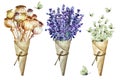 Bouquet of poppy capsules, lavender flowers and flock white butterflies in cone of paper. Isolated, hand drawn watercolor Royalty Free Stock Photo