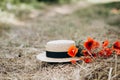 Bouquet of poppy flowers with a linen hat on a golden dry straw. Place for insertion of text. Royalty Free Stock Photo